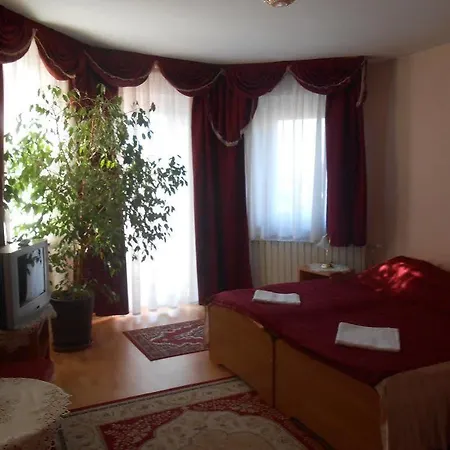 Kalman Panzio 4* セゲド